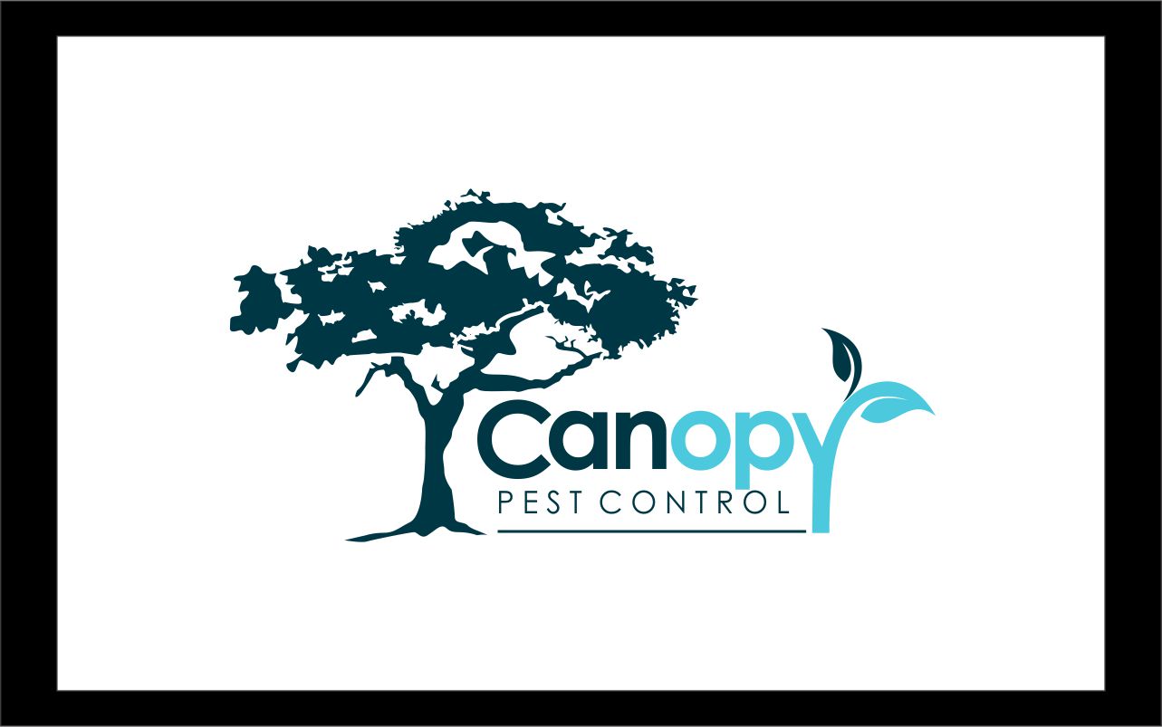 Logo Design by Logicspider for this project | Design #4909677