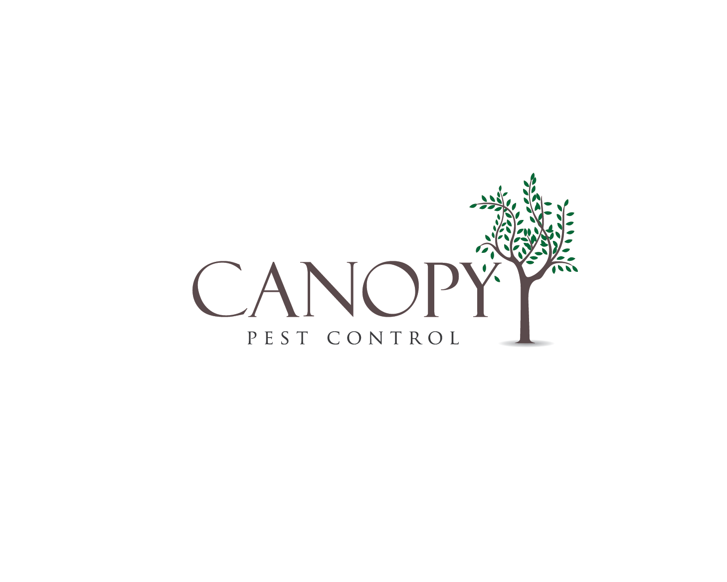 Logo-Design von Pv_999 für dieses Projekt | Design #4890439