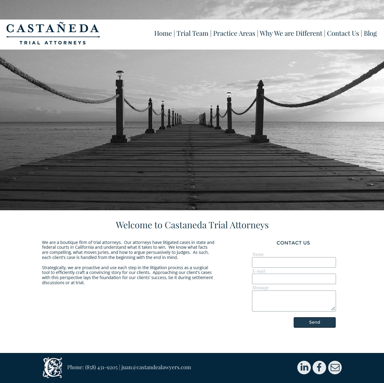 Diseño Web por Mythical Kiwi Designs para este proyecto | Diseño #5746878