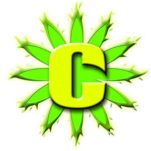 Logo Design by KaselGraphics