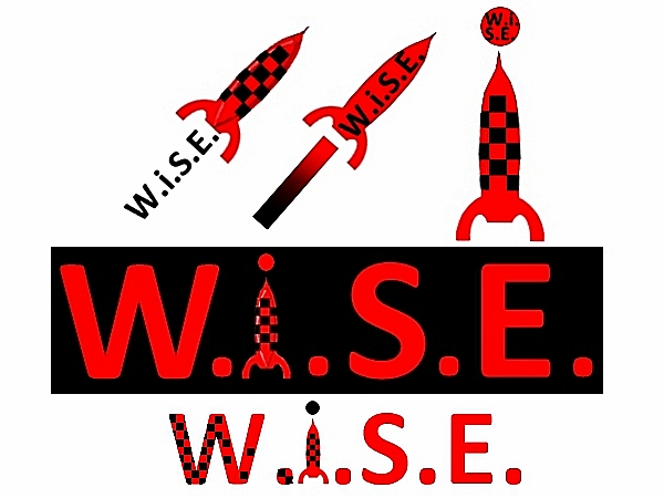 Logo Design by Mario Bianchi for W.i.S.E Clothing Co.  | Design #241508