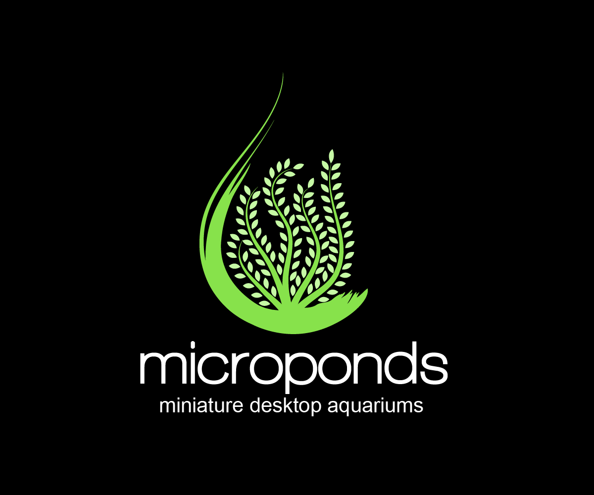 Logo Design by distantbells for this project | Design #5227062