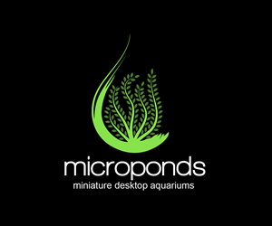 Design de Logo par distantbells pour ce projet | Design : #5227071
