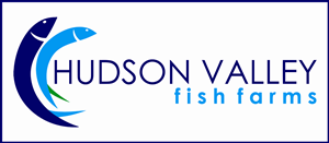 Logo Design by ARGRAPHIC
