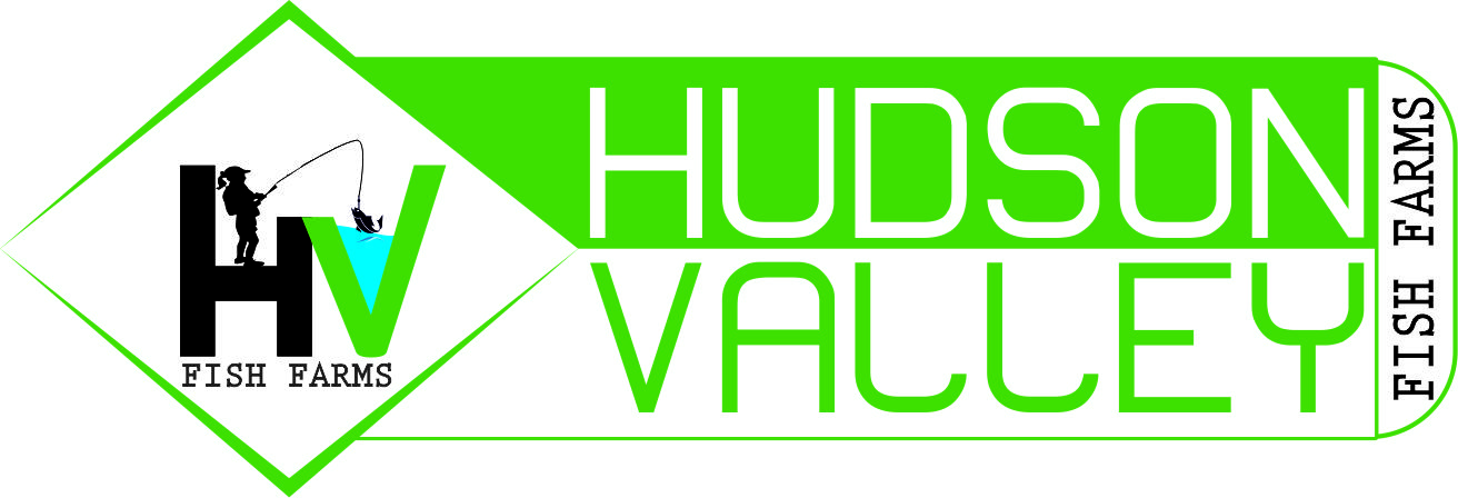 Logo-Design von d_Maker für dieses Projekt | Design #5262128