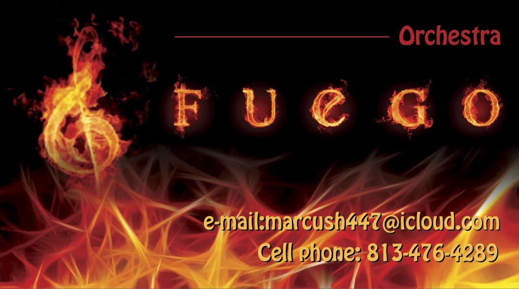 Business Card Design by dejan_dzamtovski for Hernandez Accounting Solutions Inc. | Design #4894452