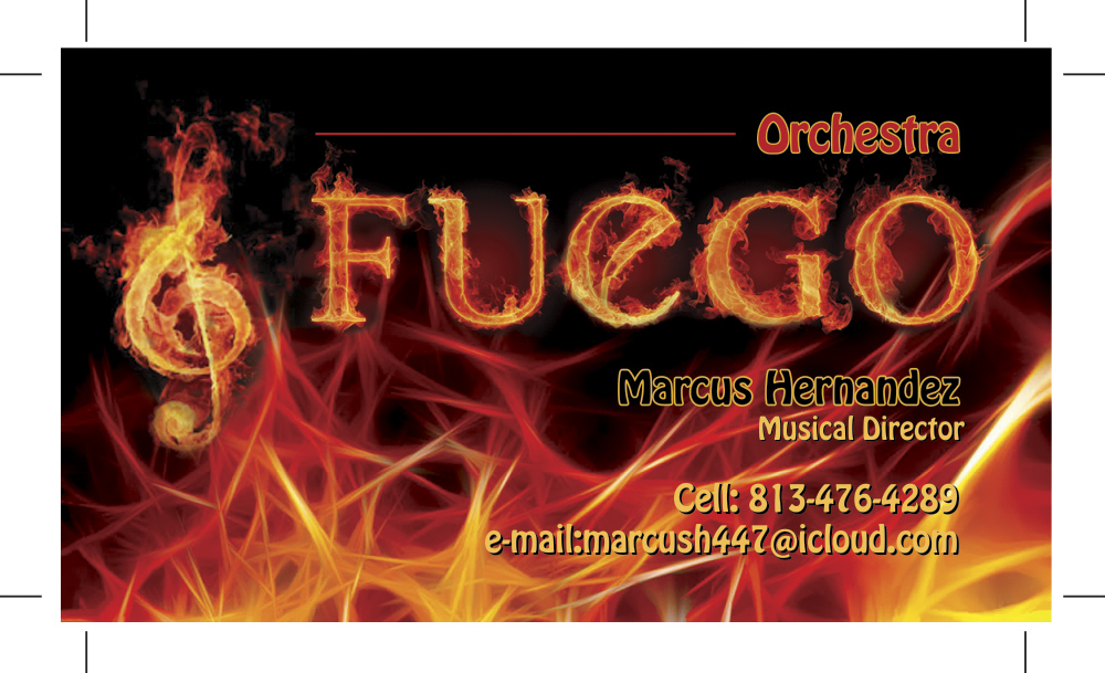 Design de Carte de Visite par dejan_dzamtovski pour Hernandez Accounting Solutions Inc. | Design #4905190