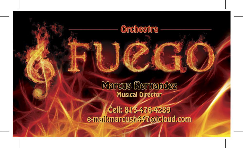 Business Card Design by dejan_dzamtovski for Hernandez Accounting Solutions Inc. | Design #4905191