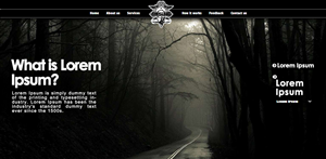 Web Design by The Creative Forge Studio for this project | Design: #4893403