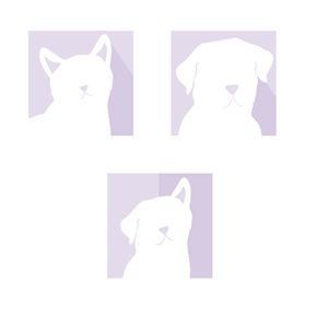 3 x graphics created that will become default profile pics for pet boarding review site