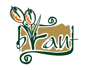 Design Image
