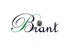 Logo Design by Demoz