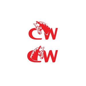 Logo Design by Tvorchicom