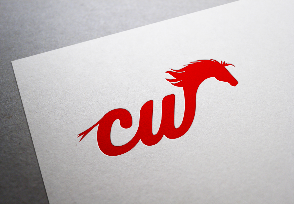 Design de Logo par TheBrandForYou.Com pour ce projet | Design #4887229