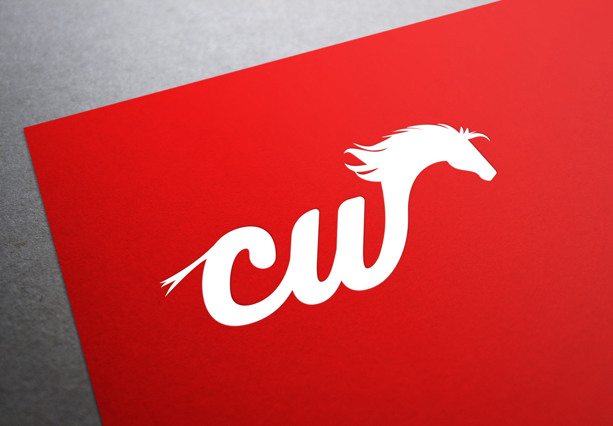 Design de Logo par TheBrandForYou.Com pour ce projet | Design #4887233