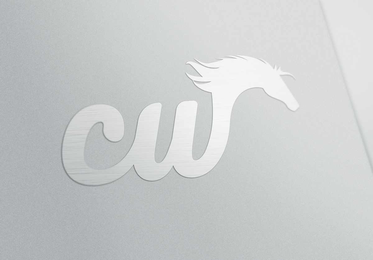 Design de Logo par TheBrandForYou.Com pour ce projet | Design #4887248