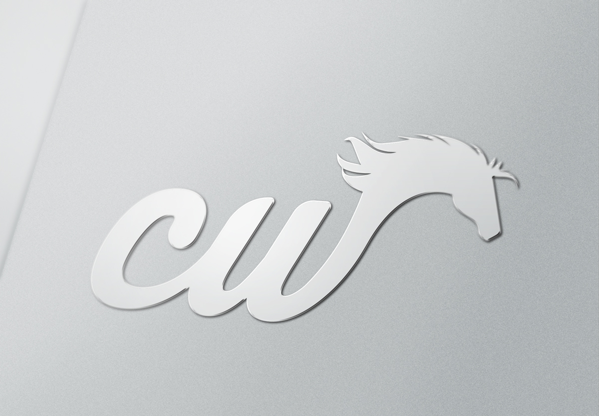 Design de Logo par TheBrandForYou.Com pour ce projet | Design #4887251