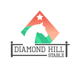 Logo Design by Emily Hamnett