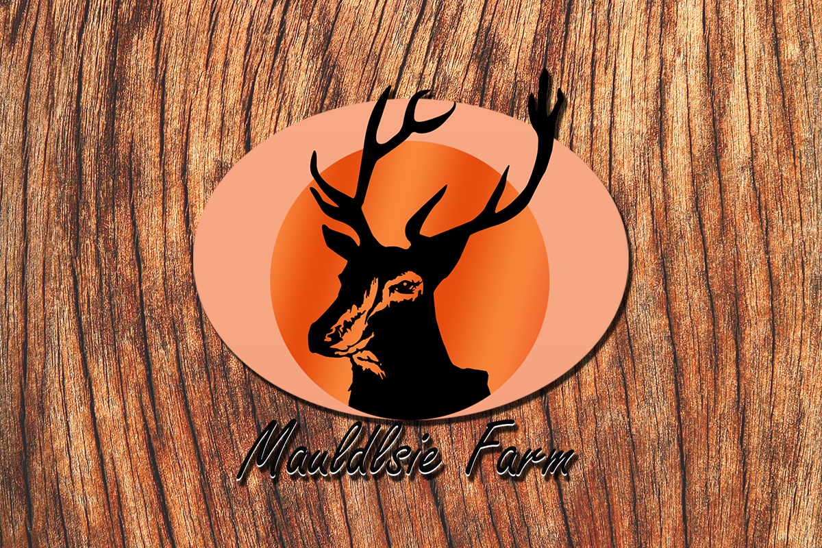 Logo Design by Lilu Design for this project | Design #4884689