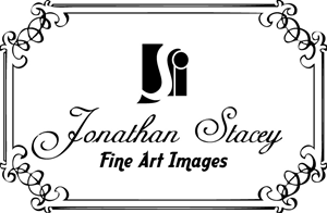 Logo Design by SHRAVAN D.S