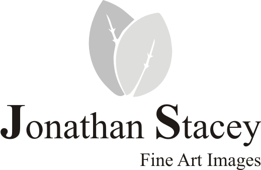 Diseño de Logo por Alireza Mirzaei para JONATHAN STACEY fine art PHOTOGRAPHY | Diseño #239180