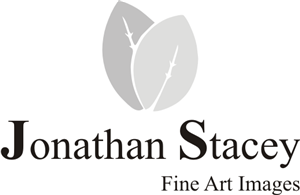 Diseño de Logo por Alireza Mirzaei para JONATHAN STACEY fine art PHOTOGRAPHY | Diseño: #239180