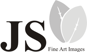 Diseño de Logo por Alireza Mirzaei para JONATHAN STACEY fine art PHOTOGRAPHY | Diseño: #239182