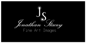 Logo Design by CHW design