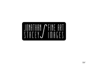 Logo Design by Sniff Studio