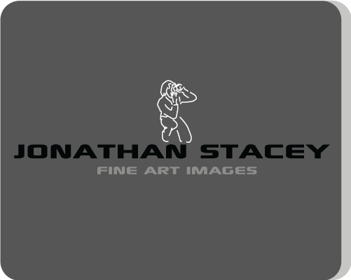 Diseño de Logo por Hexatechbd para JONATHAN STACEY fine art PHOTOGRAPHY | Diseño #240005