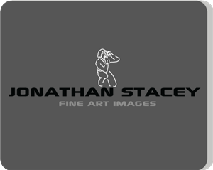 Logo Design by Hexatechbd