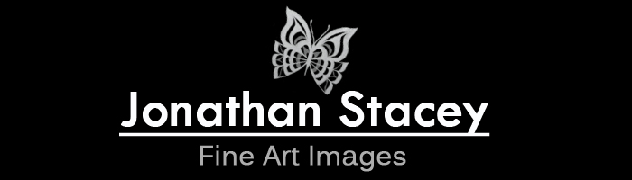 Logo Design by Hani for JONATHAN STACEY fine art PHOTOGRAPHY | Design #248946