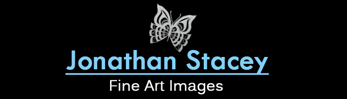 Design de Logo par Hani pour JONATHAN STACEY fine art PHOTOGRAPHY | Design #248948