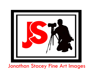 Logo Design by francki