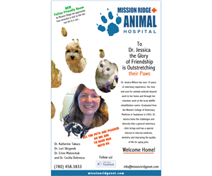 Newspaper Ad Design by WholeBranding® for this project | Design #1381250
