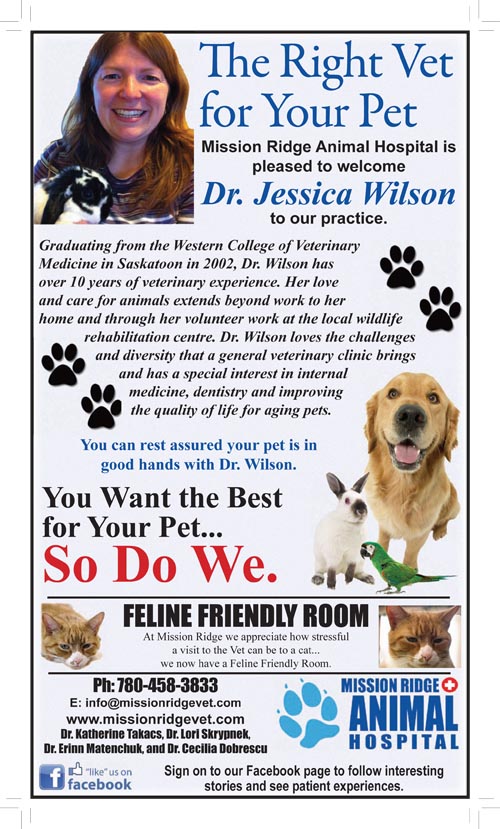Newspaper Ad Design by Pamela Popplewell for this project | Design #1383950