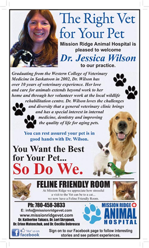 Newspaper Ad Design by Pamela Popplewell