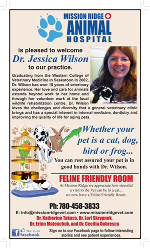 Newspaper Ad Design by Pamela Popplewell for this project | Design #1383980
