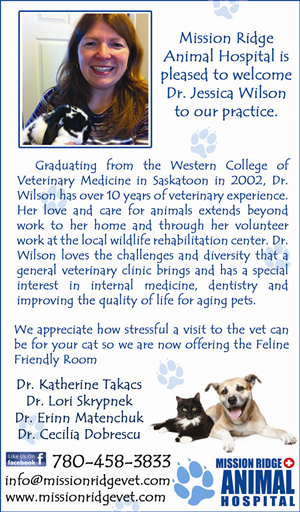 Newspaper Ad Design by Sarah W.