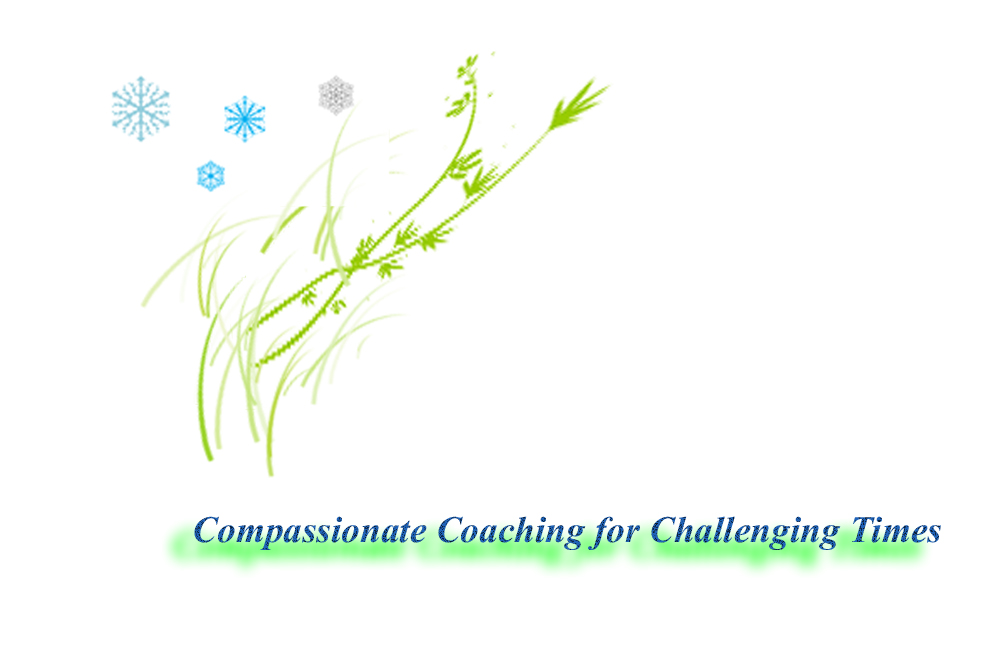 Logo Design by S3T for this project | Design #1399932