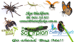 Business Card Design by CMS Graphix for Butterfly Skye | Design #1384174