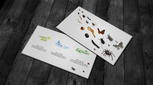 Business Card Design by Sid for Butterfly Skye | Design: #1397515