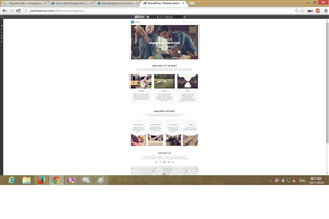 Wordpress Design by sannguyen
