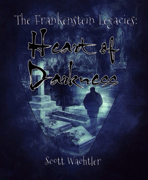 Book Cover Design by DanielsEye