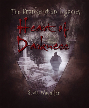 Book Cover Design by DanielsEye for this project | Design #4929008