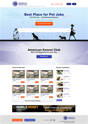 Web Design by stn50431