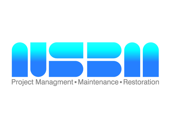 Logo Design by KHM for Distinct Building Solutions | Design #246768