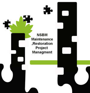Logo Design by sara eskandar for Distinct Building Solutions | Design: #246501