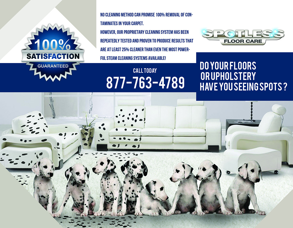 Brochure Design by Bins for this project | Design #4918672