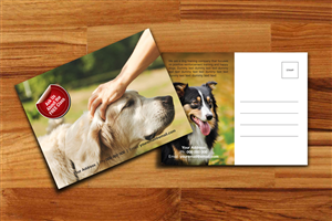 Postcard Design by decorusads
